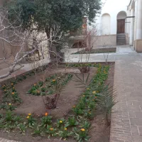 راهنمایی هم خونه