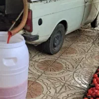 آبگیری گوجه وانگور وخورد کردن سبزی در محل ارزان