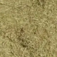کاه گندم کیلو15 وکاه سبزعدس وکسن کیلو 40هزارتومان