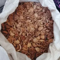 فروش پوست گردو