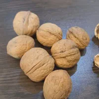 گردو تازه تبریز
