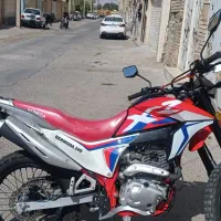 ترل برمودا250