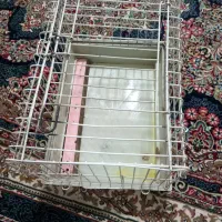 قفس خروس سالم تمیز