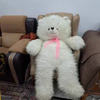 خرس بزرگ