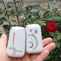 ظروف چینی و اکورپال