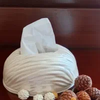 جا دستمال