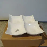 ظروف پذیرایی