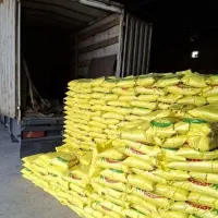 برنج بی واسطه 270تومان