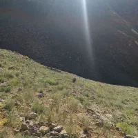 جویای کار