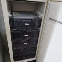 فریزر آلمانی برند گورنجی کاملا سالم منفی بیست درجه