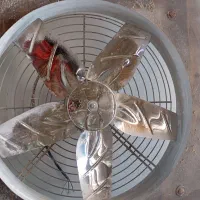 فن     فن.      فن