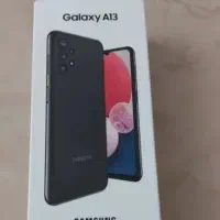 a13