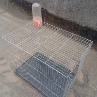 قفس پرنده سفید