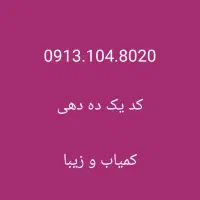 ۰۹۱۳۱۰۴۸۰۲۰زیر قیمت تا ۴۸ ساعت
