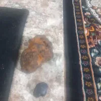 سنگ مشکوک ب شهاب