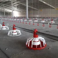 دانخوری بشقابی پارس و کناوی
