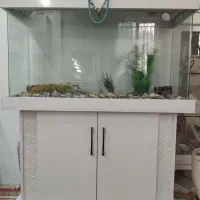 آکواریوم شیشه خم ابعاد۸۰ارتفاع۹۰عمق۳۰ برای خرید