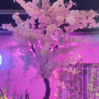 فروش درختچه مصنوعی دکوراتیو