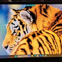 لپ تاپ ایسوس