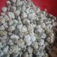 سیر رامهرمز خورستان