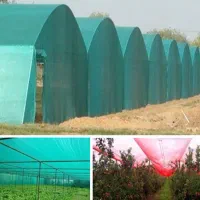 شید گلخانه ای شید سایبان