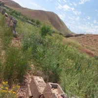 باغ-در-نزدیک-اتوبان