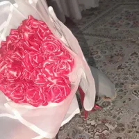 گل نو
