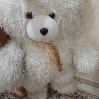 خرس بزرگ ۵۰۰تومن