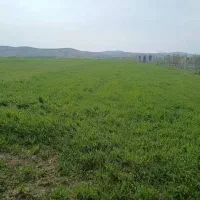 زمین فروشی فوری