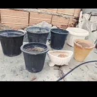 گلدان