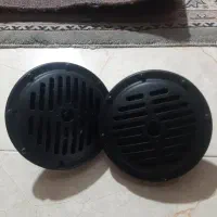 یک جفت بوق بزرگ