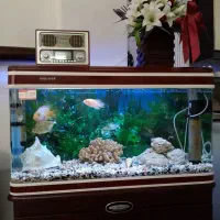 آکواریوم کمدی