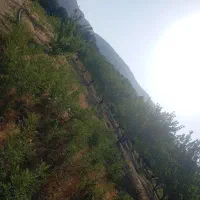 باغ چهل چشمه