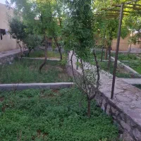باغ-ویلا-که-میگن-اینه