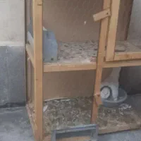 قفس جفتگاه
