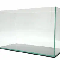 آکواریوم|ماهی|فولادشهر, مسکن مهر فولادشهر|دیوار