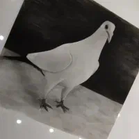 نقاشی ویژه کودک و بزرگسالان