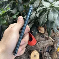 IPhone 11Pro|موبایل|مشهد, طلاب|دیوار
