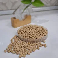 نخود دیم (کرمانشاه)