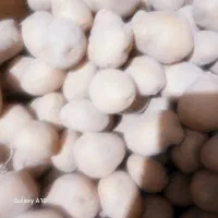 سیب بذری سانته مدل 1403