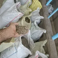 کود مرغ