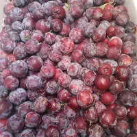 میوه