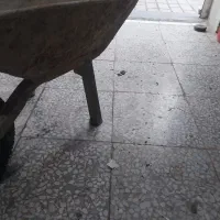باسلام فرقون سالم