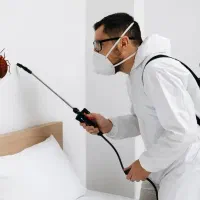 سم پاشی ودفع حشرات موریانه وسوسک..