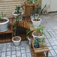 گلدان با گل وپایه