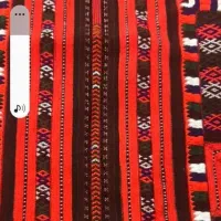 توهی و سرتوپ زی استین