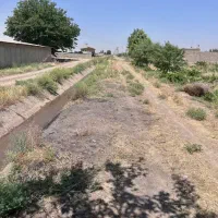 فروش باغ انگوری