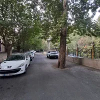 ۶۵۰ متر بر ظفر