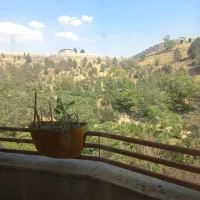 آپارتمان شیان ۱۰۰متری/ رهن و اجاره
