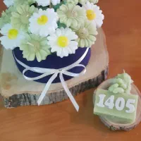 باکس گل بابونه